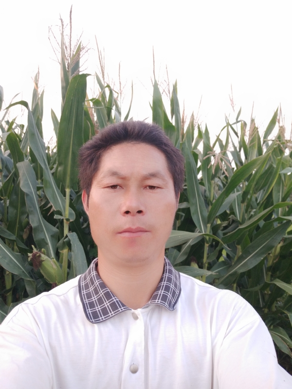 四海游龙的第二张照片--泉州相亲服务中心