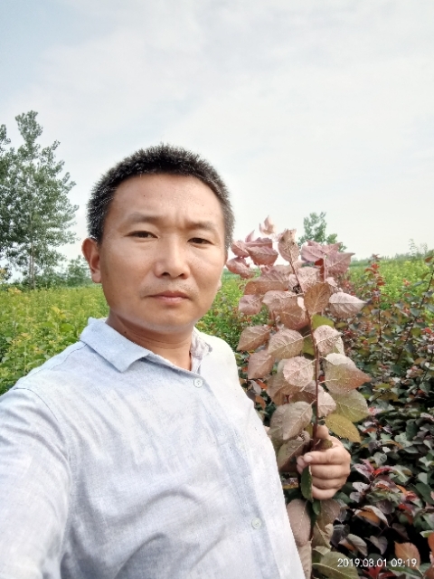 孩子爸的第二张照片--泉州相亲服务中心