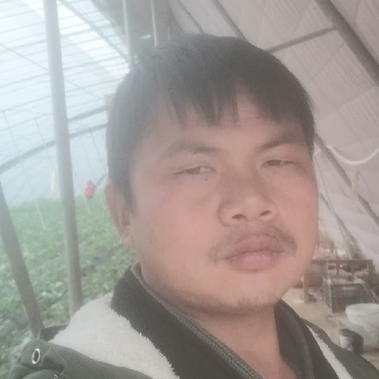 孤狼‘的第一张照片--泉州相亲服务中心