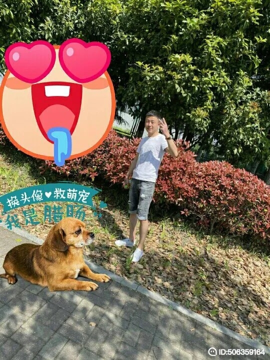 我若不坚强谁替我勇敢的第一张照片--泉州相亲服务中心