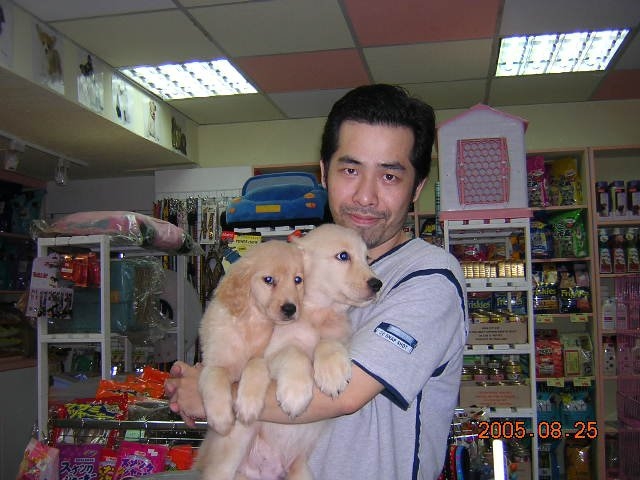 陈道明的第六张照片--泉州相亲服务中心