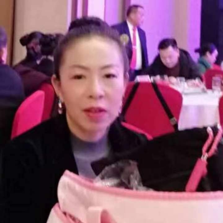 中秋桂花玉兔的第四张照片--泉州相亲服务中心