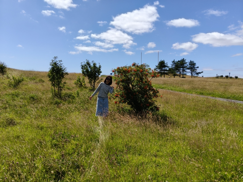 秋蝉的第一张照片--泉州相亲服务中心