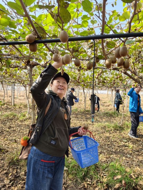夜莺的第四张照片--泉州相亲服务中心